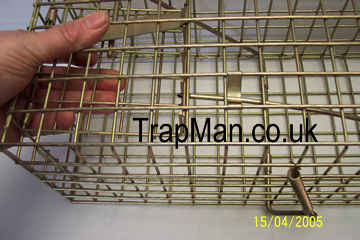 Pro gold squirrel trap door setting