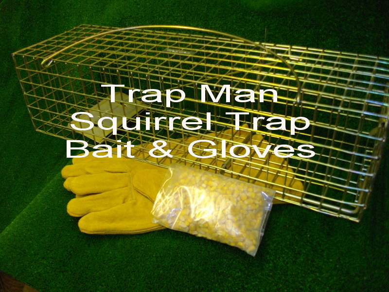 grey squirrel trap with bait and gloves at a special price