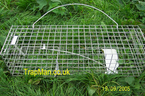 Squirrel Trap